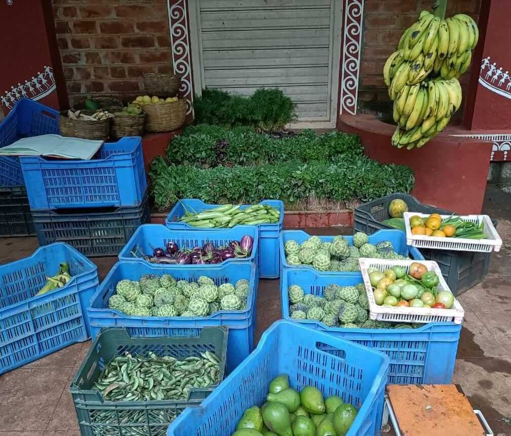Fresh organic vegetables and greens